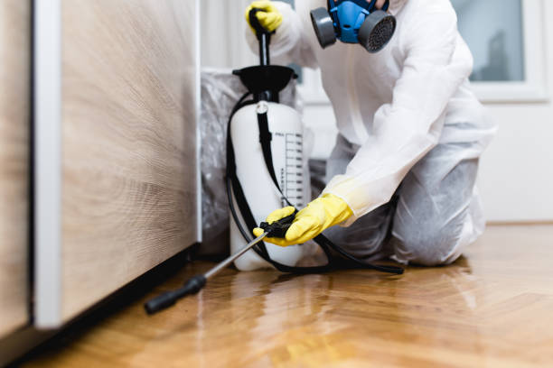 Professional Pest Control in Dillonvale, OH