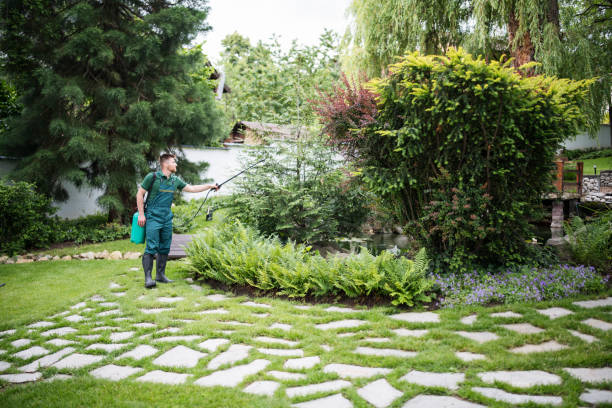 Best Emergency Pest Control  in Dillonvale, OH