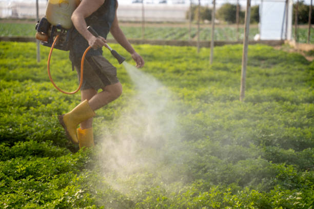 Best Best Pest Control Companies  in Dillonvale, OH