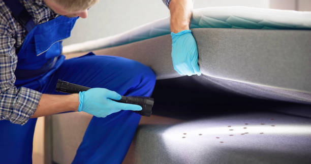 Best Exterminator Services  in Dillonvale, OH