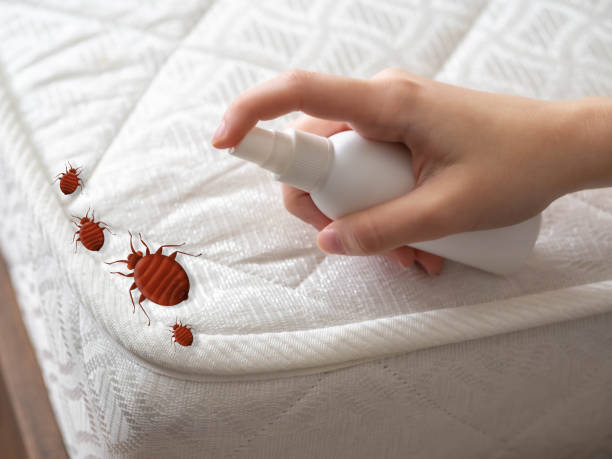 Pest Control Cost in Dillonvale, OH