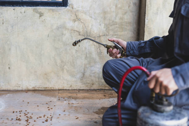 Best Residential Pest Control  in Dillonvale, OH
