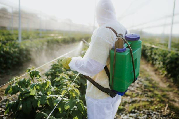 Best Pest Control for Businesses  in Dillonvale, OH